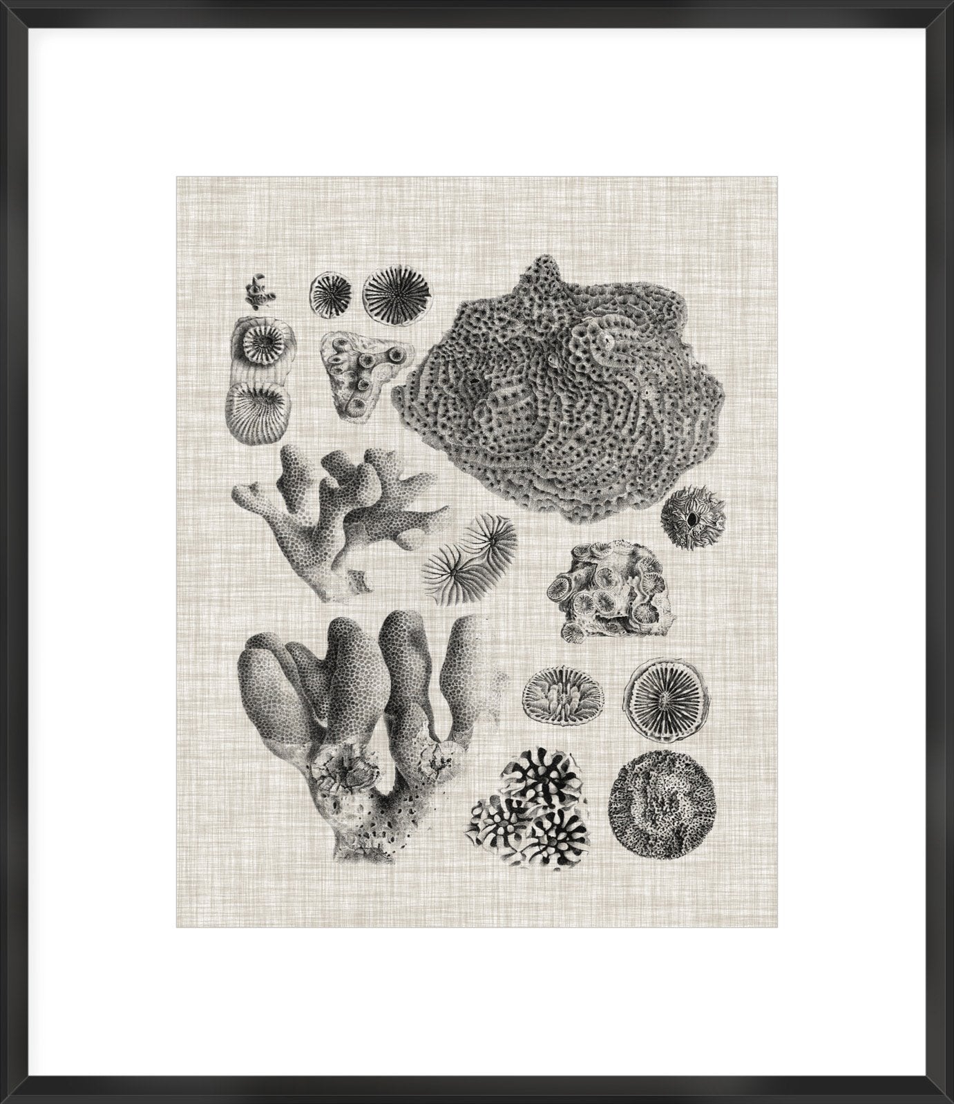 Biella Art framed prints melbourne