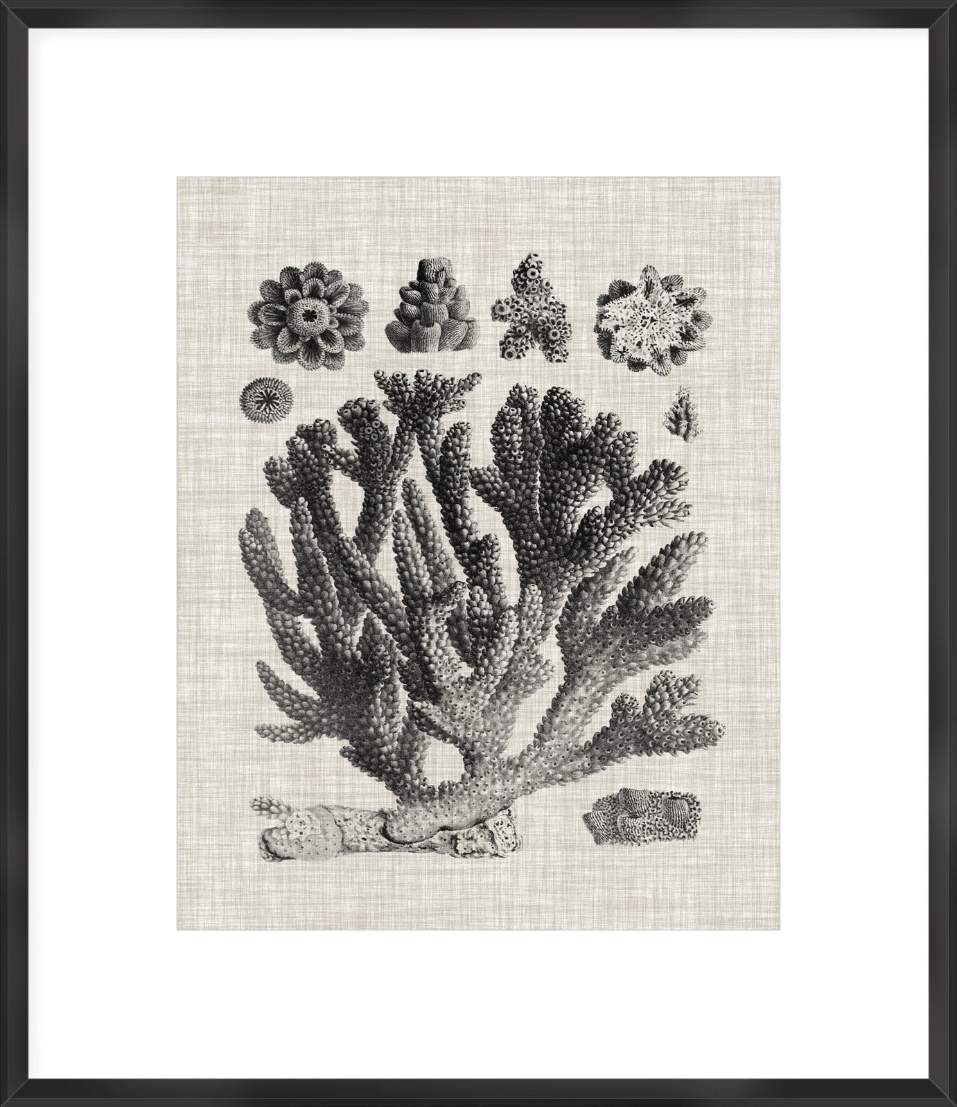Biella Art framed prints melbourne