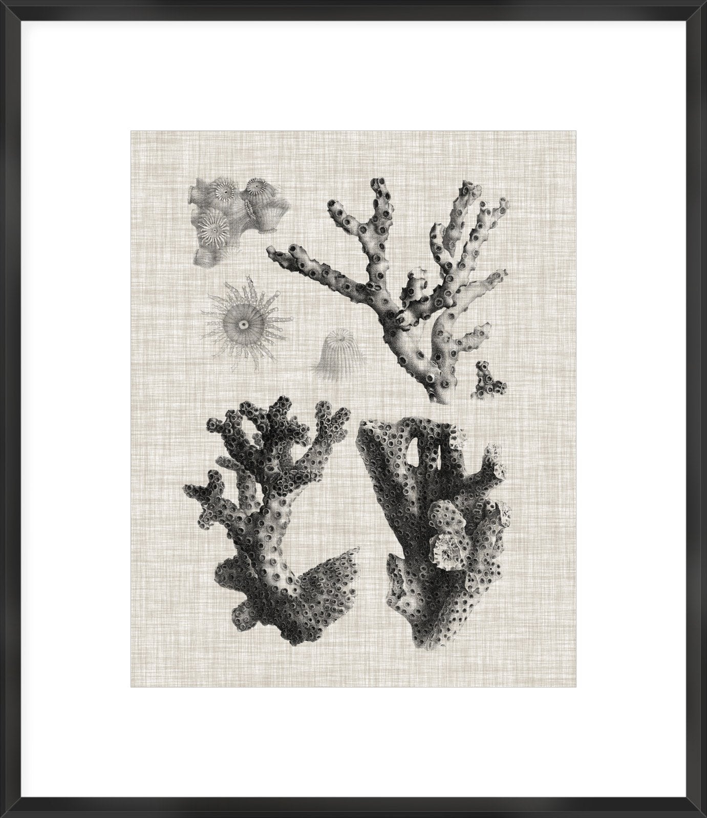 Biella Art framed prints melbourne