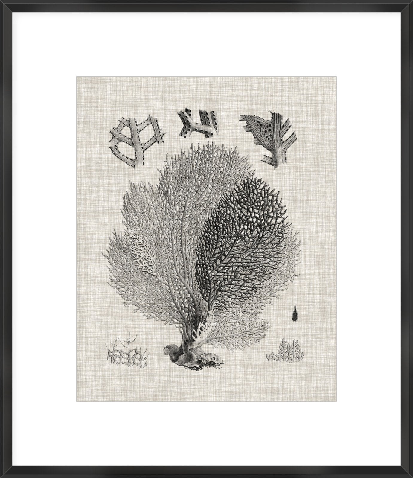 Biella Art framed prints melbourne