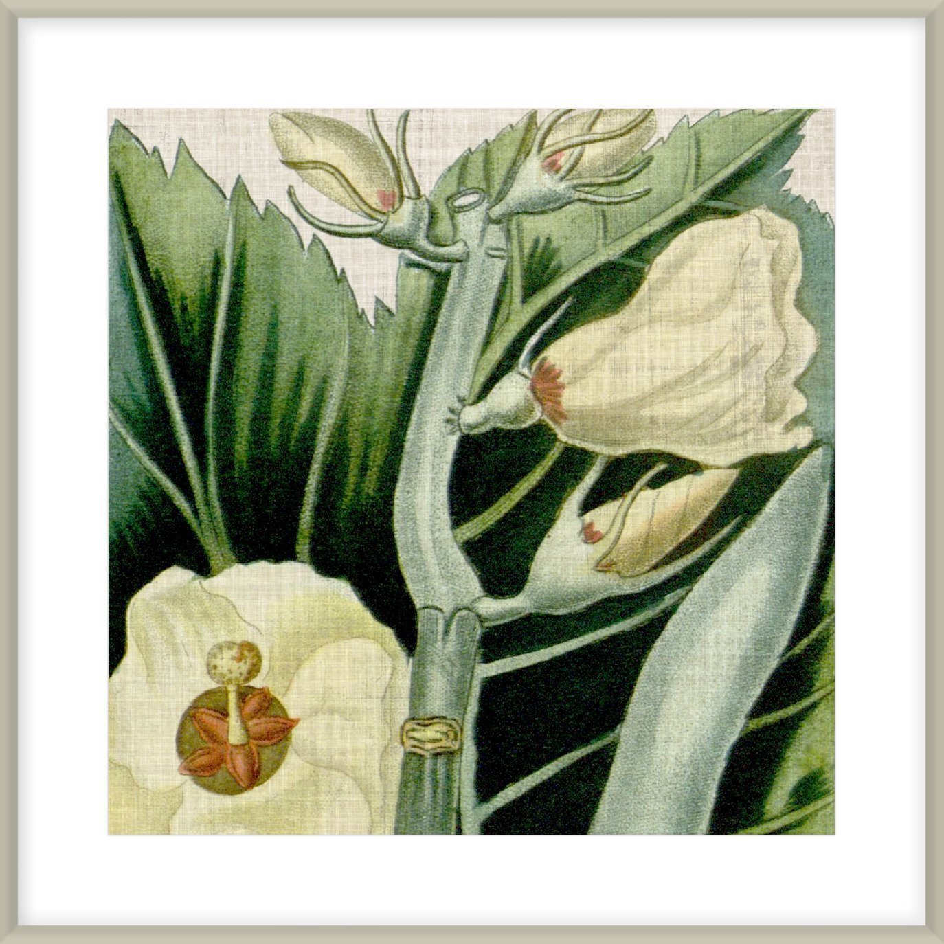 Biella Art framed prints melbourne