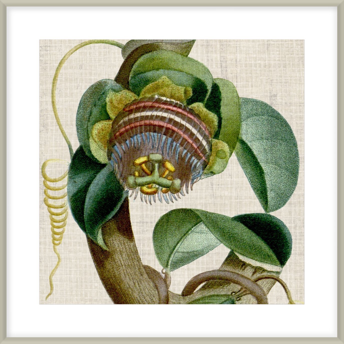 Biella Art framed prints melbourne