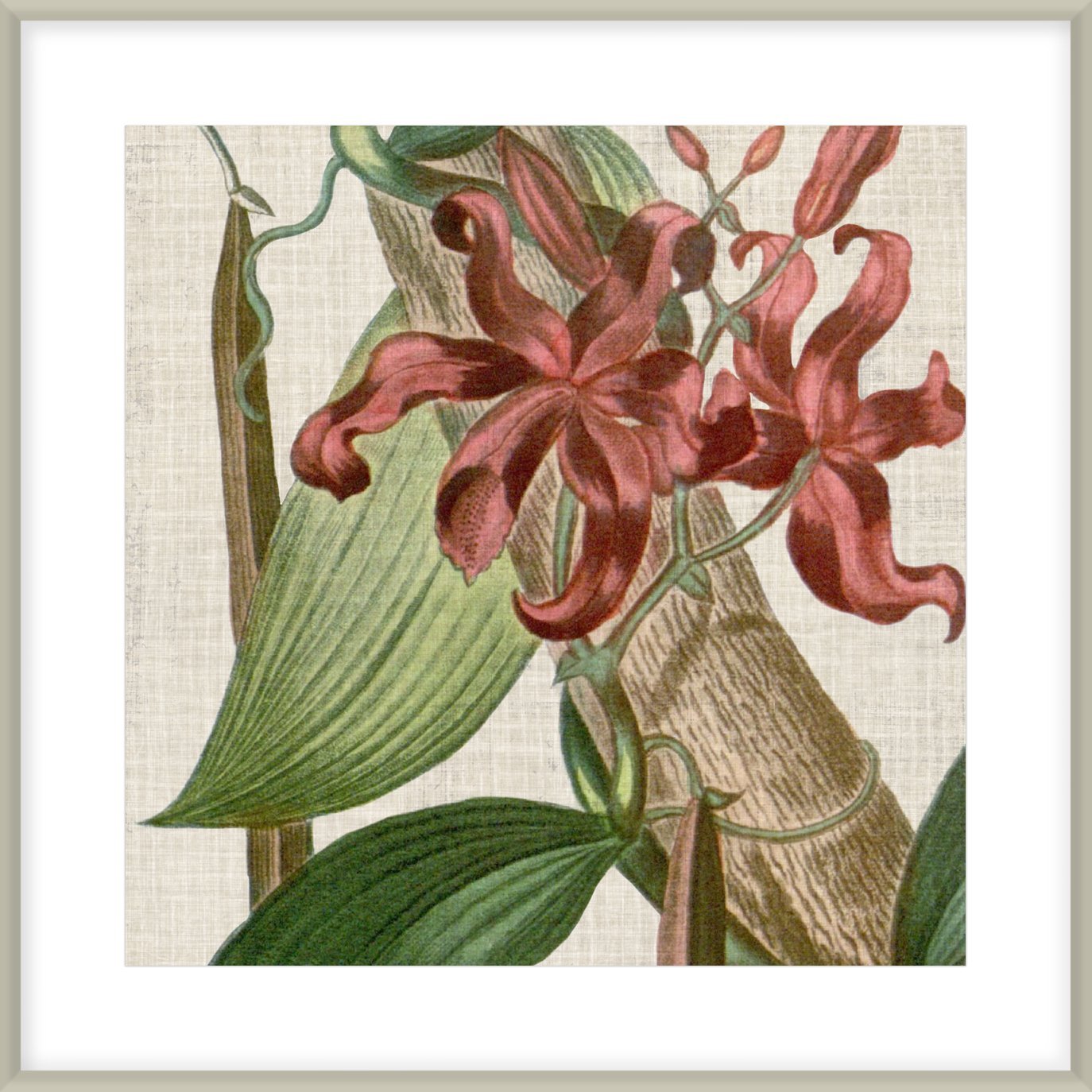 Cropped Turpin Tropicals IX
