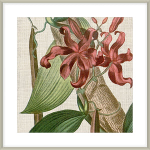 Cropped Turpin Tropicals IX