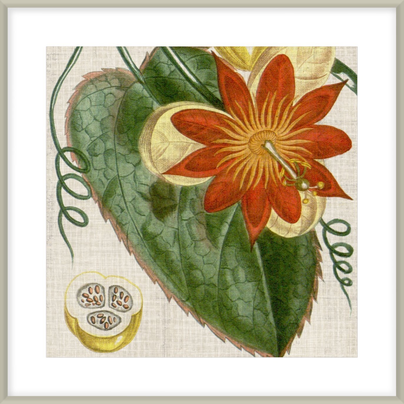 Biella Art framed prints melbourne