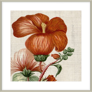Biella Art framed prints melbourne
