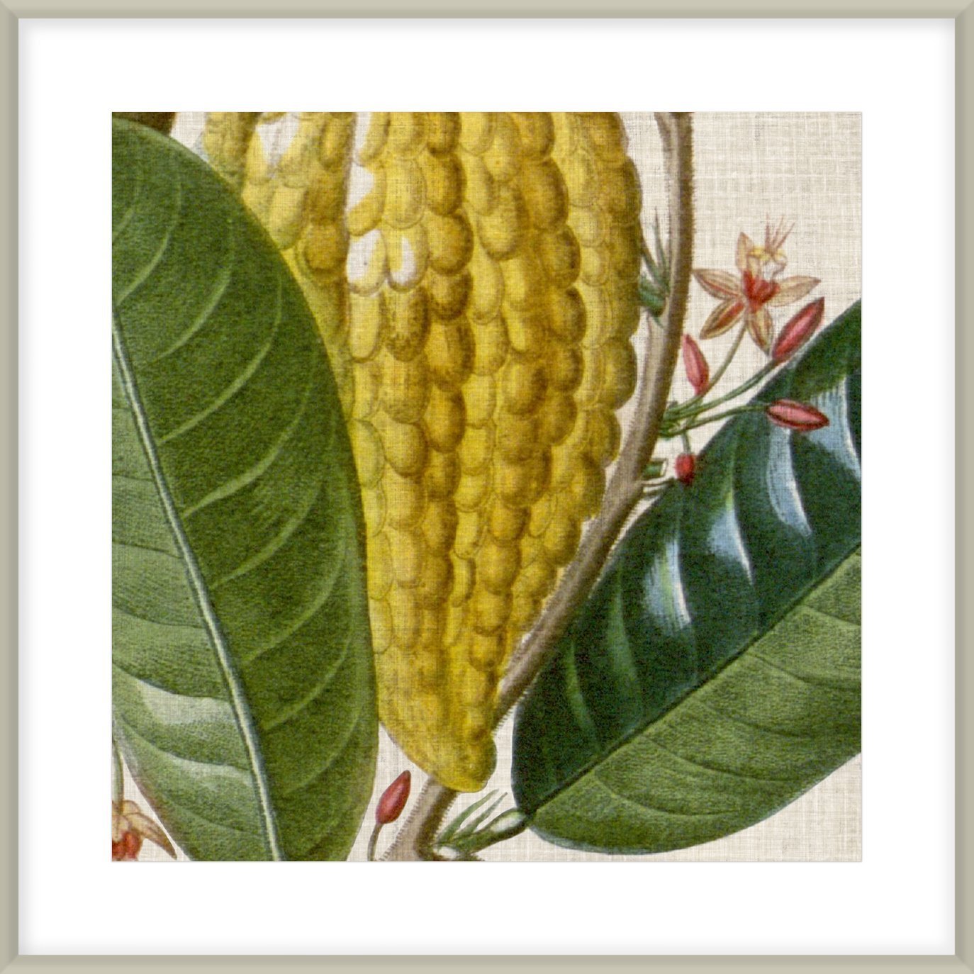 Biella Art framed prints melbourne