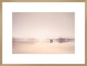 Biella Art framed prints melbourne