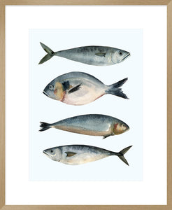 Biella Art framed prints melbourne