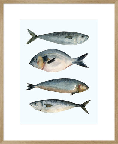 Biella Art framed prints melbourne