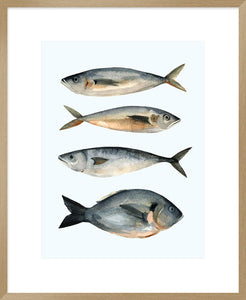 Biella Art framed prints melbourne