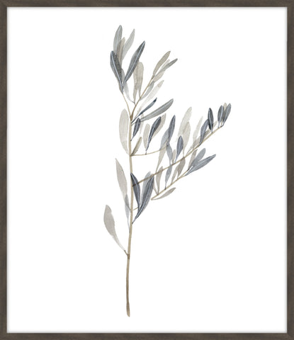 Gentle Breeze II