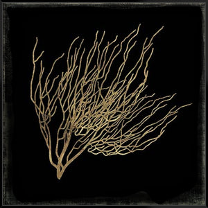 Gold Coral I - Canvas
