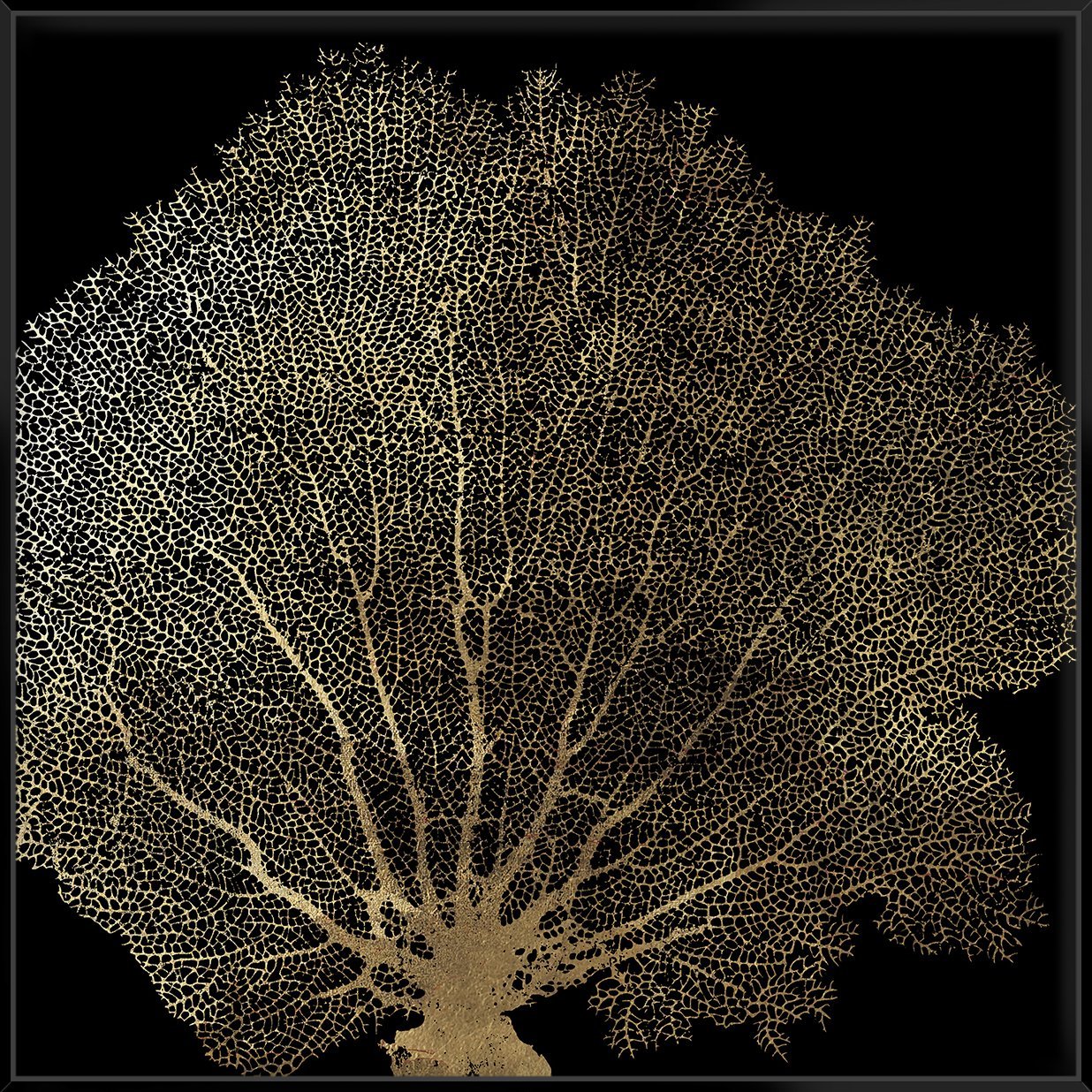 Honeycomb Coral Ii 103X103Cm / Black