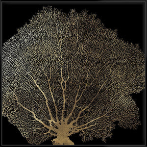 Honeycomb Coral Ii 103X103Cm / Black