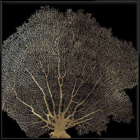 Honeycomb Coral Ii 103X103Cm / Black