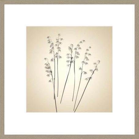 Biella Art framed prints melbourne