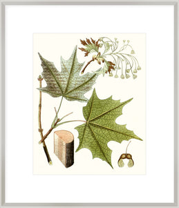 Biella Art framed prints melbourne