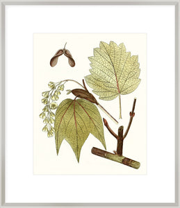 Biella Art framed prints melbourne