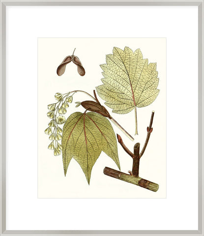 Biella Art framed prints melbourne
