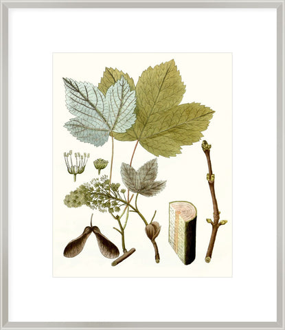 Biella Art framed prints melbourne