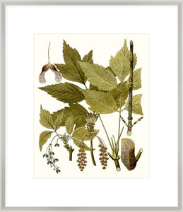 Biella Art framed prints melbourne