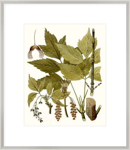 Biella Art framed prints melbourne