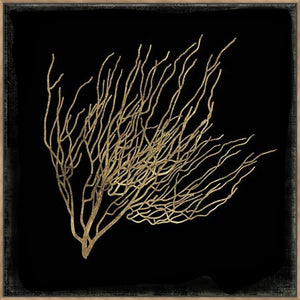 Gold Coral I 103X103Cm / Natural
