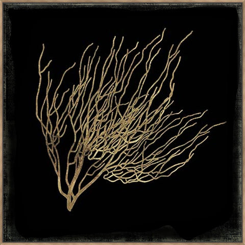 Gold Coral I 103X103Cm / Natural