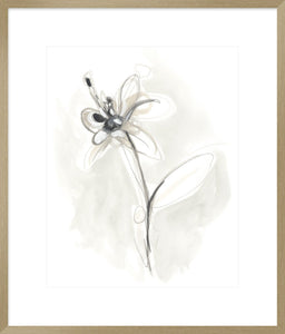Biella Art framed prints melbourne