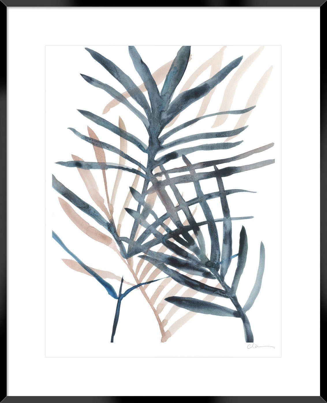 Panama Palms II