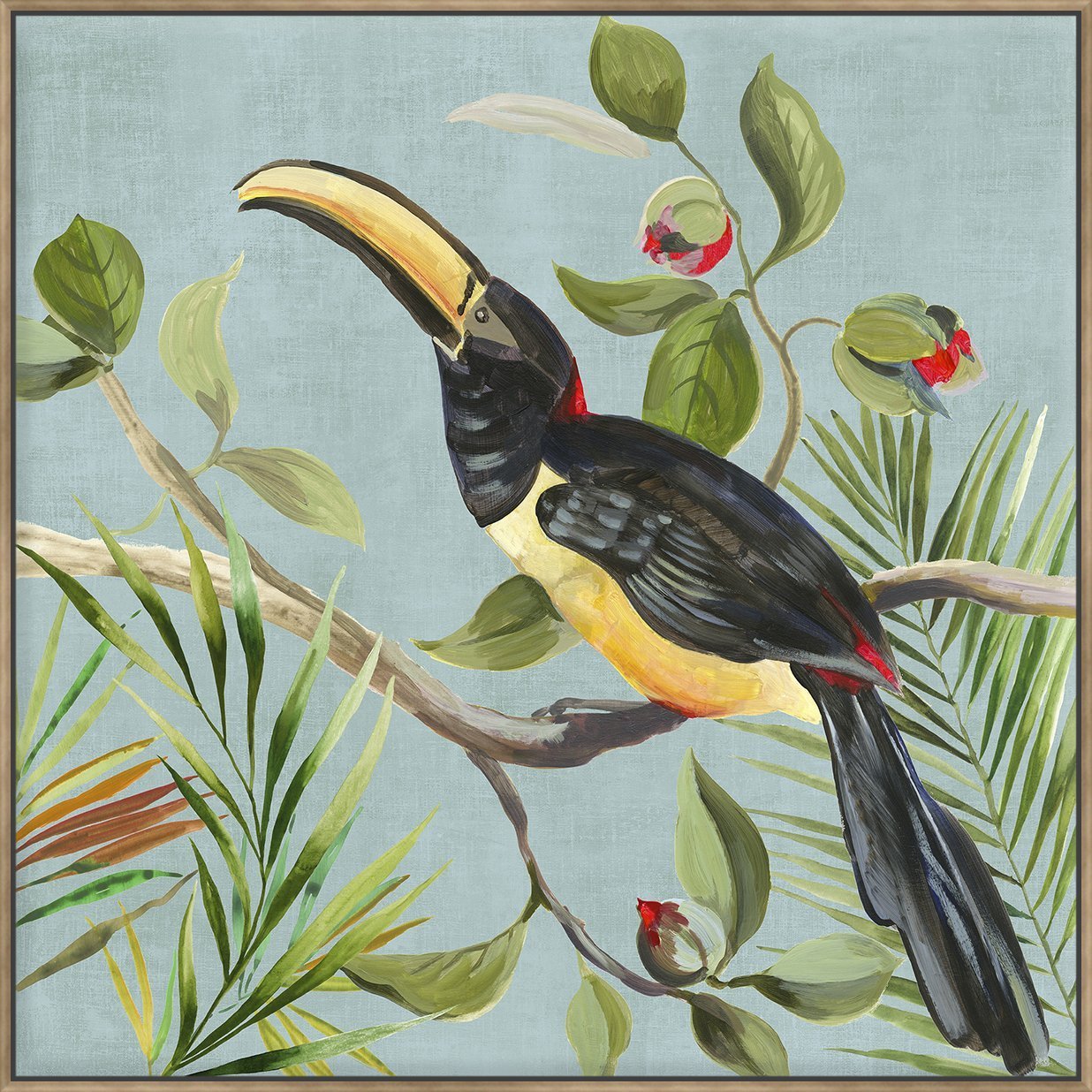 Paradise Toucan Ii
