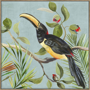 Paradise Toucan Ii