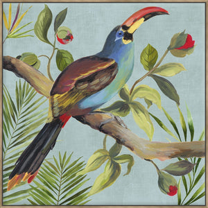 Paradise Toucan I