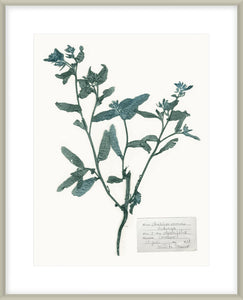 Biella Art framed prints melbourne