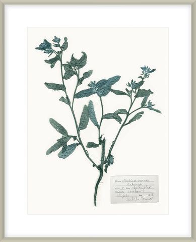 Biella Art framed prints melbourne
