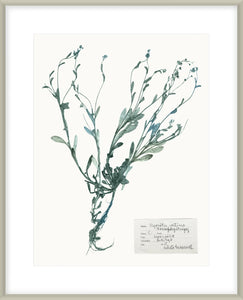 Biella Art framed prints melbourne