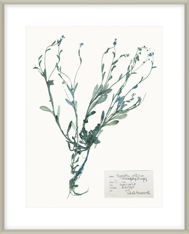 Biella Art framed prints melbourne