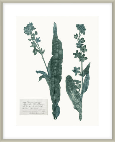 Biella Art framed prints melbourne