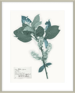 Biella Art framed prints melbourne