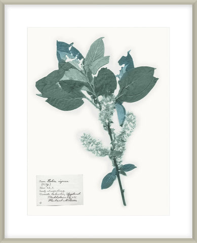 Biella Art framed prints melbourne