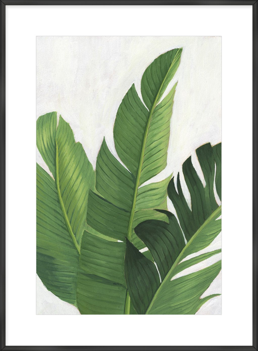 Pura Vida II