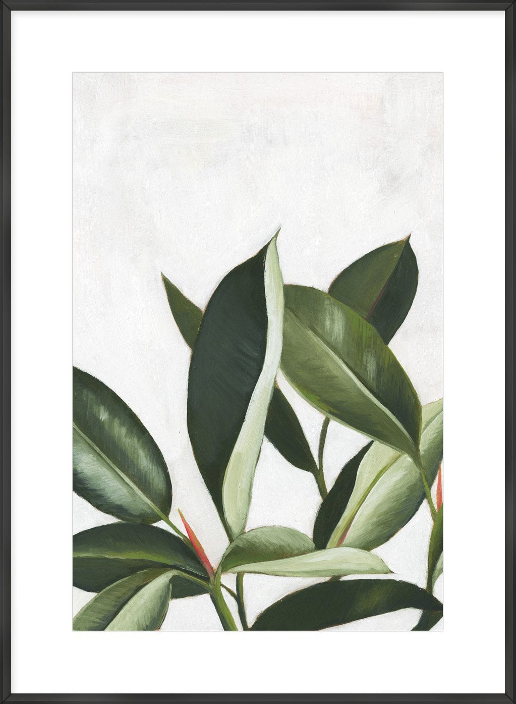 Pura Vida IV