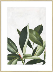 Biella Art framed prints melbourne