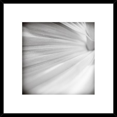 Biella Art framed prints melbourne