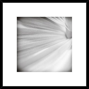 Biella Art framed prints melbourne