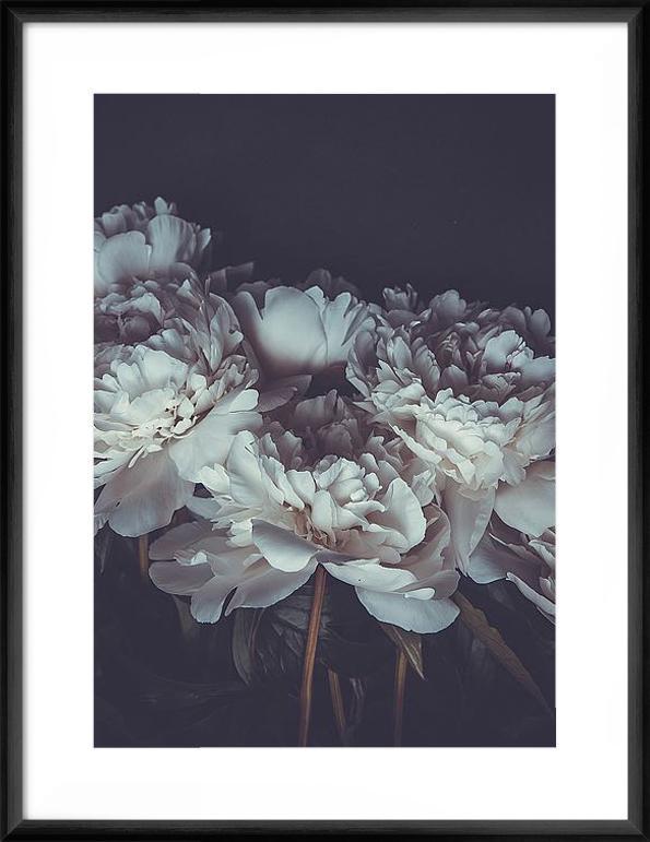 Biella Art framed prints melbourne