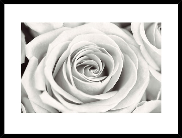 Biella Art framed prints melbourne