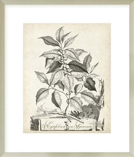Biella Art framed prints melbourne