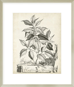 Biella Art framed prints melbourne